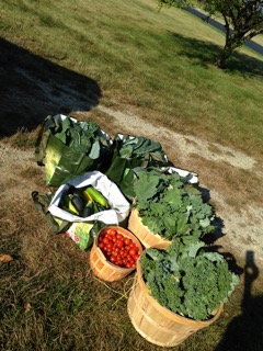 Community Garden